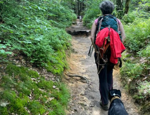 Mensch und Hund auf Wanderweg