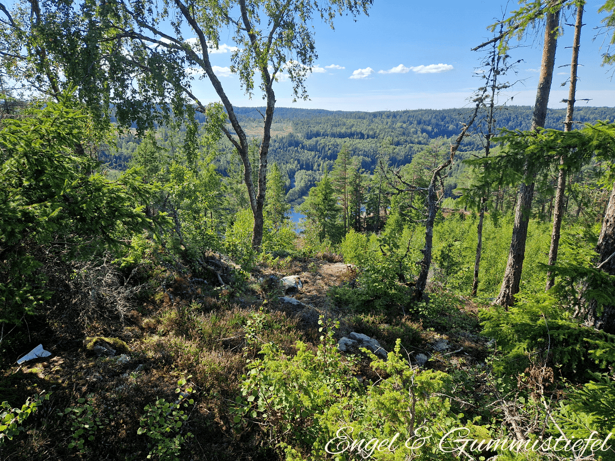 Älgafossen Aussicht