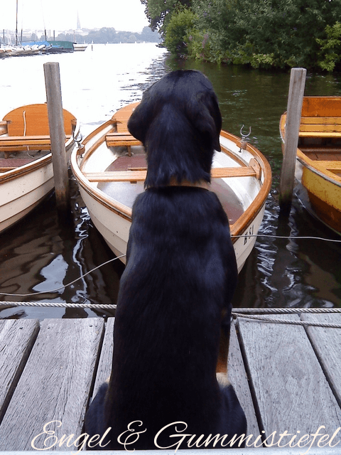 Marun will Bootfahren