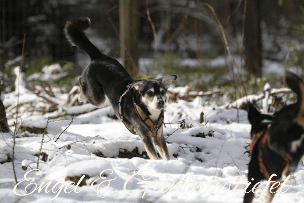 Marun Mei Schneetoben