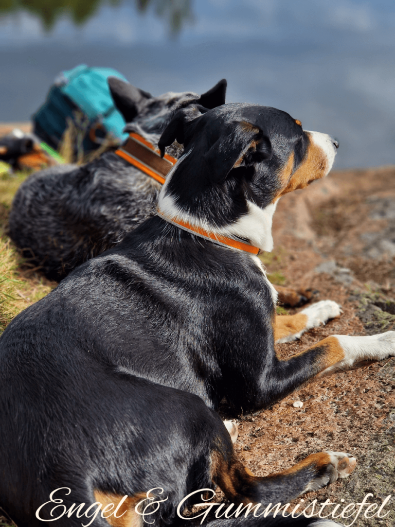 Schwedentour: Wanderpause im Skuleskogen Nationalpark