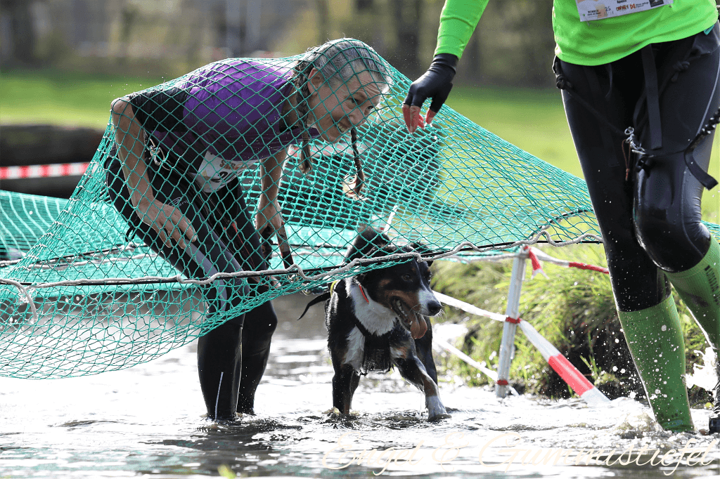 StrongDog Meiqju 10-2018