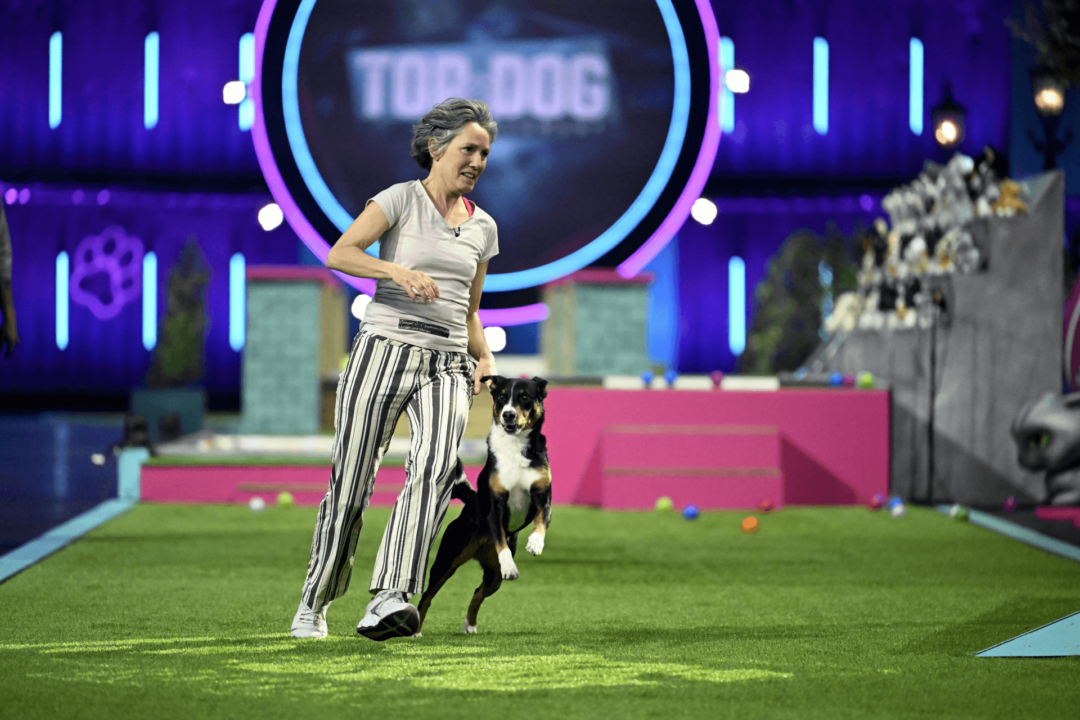 Top Dog Pressefoto RTL/Markus Heitrich