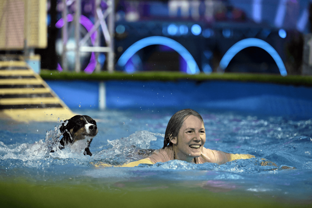 TopDog Pressefoto Pool